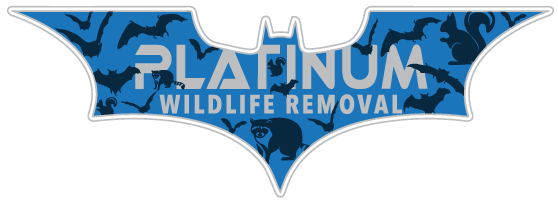 Genesee County Animal Removal